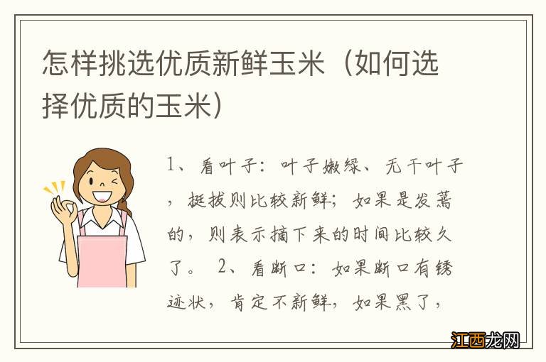 如何选择优质的玉米 怎样挑选优质新鲜玉米