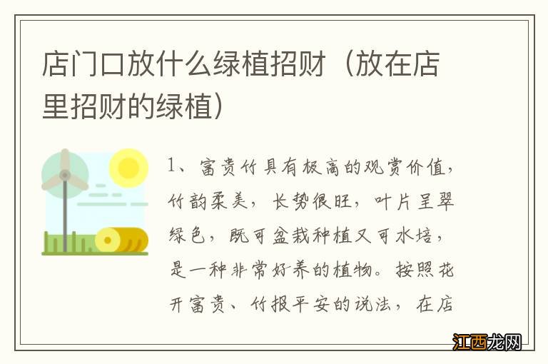 放在店里招财的绿植 店门口放什么绿植招财