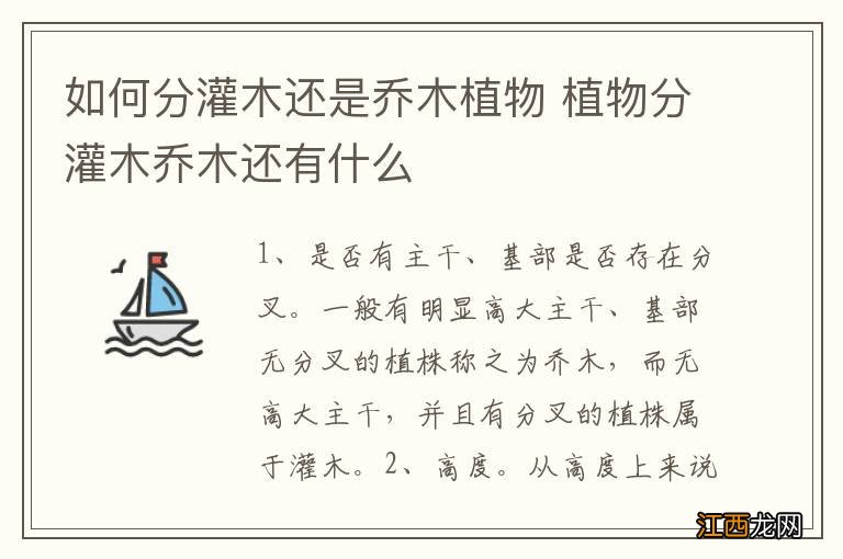 如何分灌木还是乔木植物 植物分灌木乔木还有什么