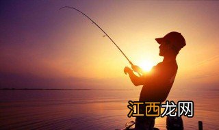 钓黄尾鱼绝杀饵料配方 钓黄尾最佳饵料配方