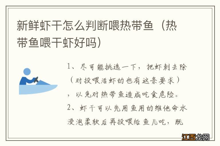 热带鱼喂干虾好吗 新鲜虾干怎么判断喂热带鱼