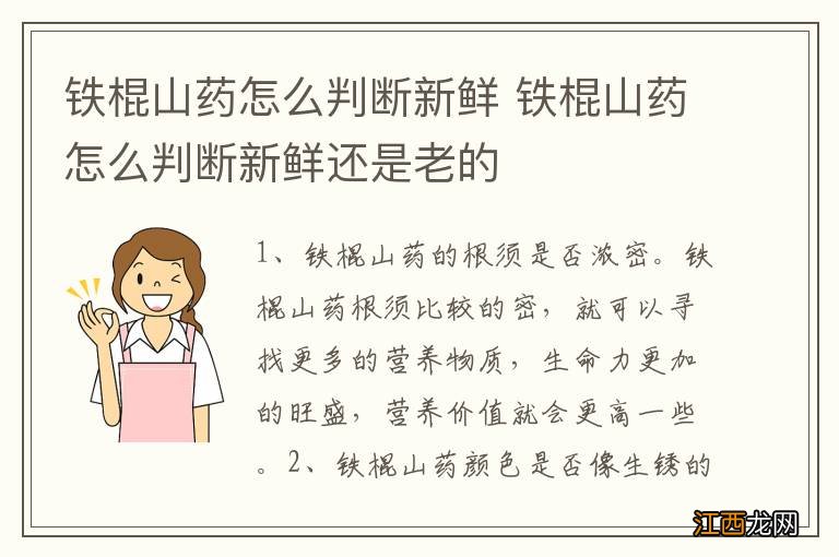 铁棍山药怎么判断新鲜 铁棍山药怎么判断新鲜还是老的