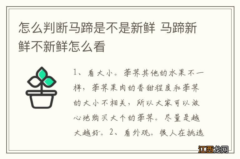 怎么判断马蹄是不是新鲜 马蹄新鲜不新鲜怎么看