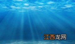 海底九万米有什么生物 海底九万米有什么