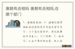 唐朝有丞相吗 唐朝有丞相吗,在哪个部门