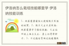 伊洛纳怎么栽培技能哪里学 伊洛纳技能训练