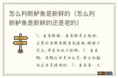 怎么判断鲈鱼是新鲜的还是老的 怎么判断鲈鱼是新鲜的