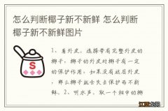 怎么判断椰子新不新鲜 怎么判断椰子新不新鲜图片