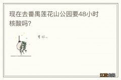 现在去番禺莲花山公园要48小时核酸吗？