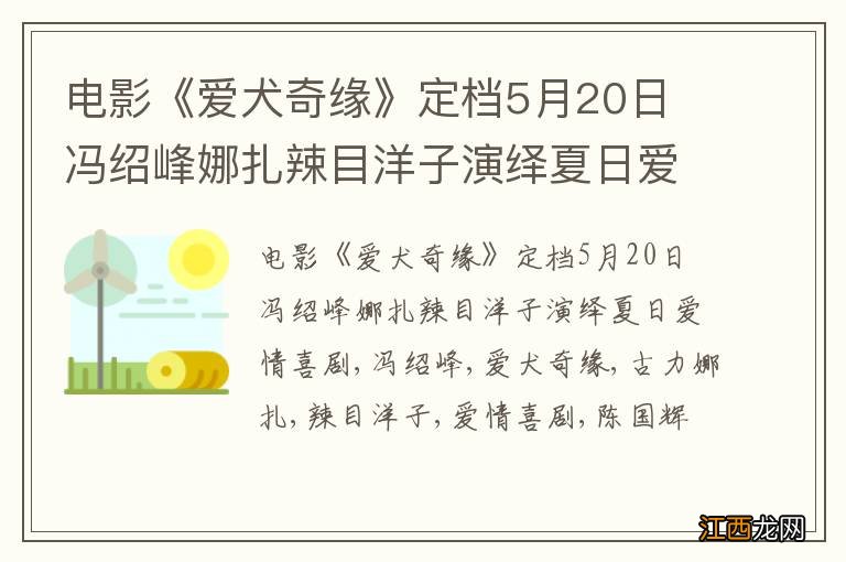 电影《爱犬奇缘》定档5月20日 冯绍峰娜扎辣目洋子演绎夏日爱情喜剧