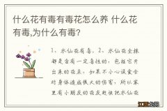 什么花有毒有毒花怎么养 什么花有毒,为什么有毒?