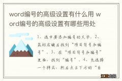 word编号的高级设置有什么用 word编号的高级设置有哪些用处