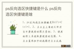 ps反向选区快捷键是什么 ps反向选区快捷键是啥