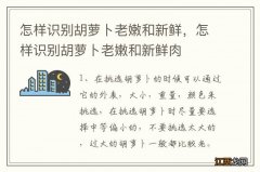 怎样识别胡萝卜老嫩和新鲜，怎样识别胡萝卜老嫩和新鲜肉