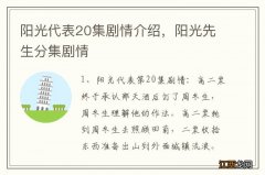 阳光代表20集剧情介绍，阳光先生分集剧情