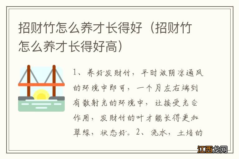 招财竹怎么养才长得好高 招财竹怎么养才长得好