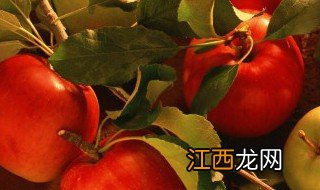 苹果怎样做好吃又营养 苹果怎样做好吃又营养价值