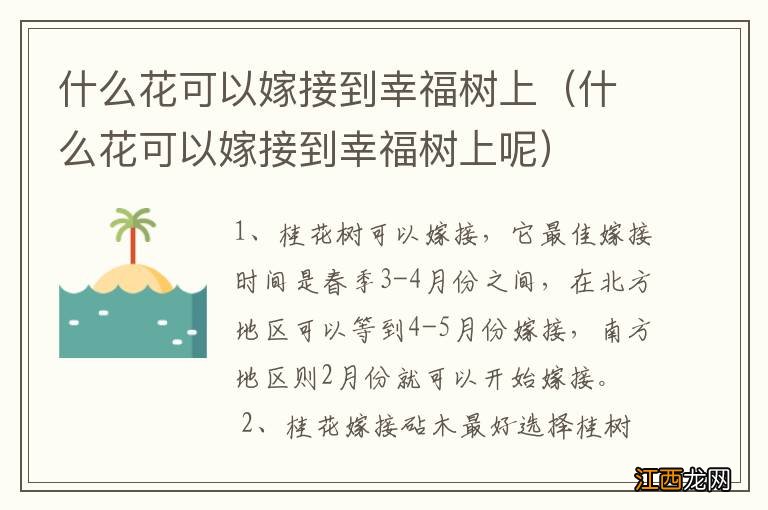 什么花可以嫁接到幸福树上呢 什么花可以嫁接到幸福树上