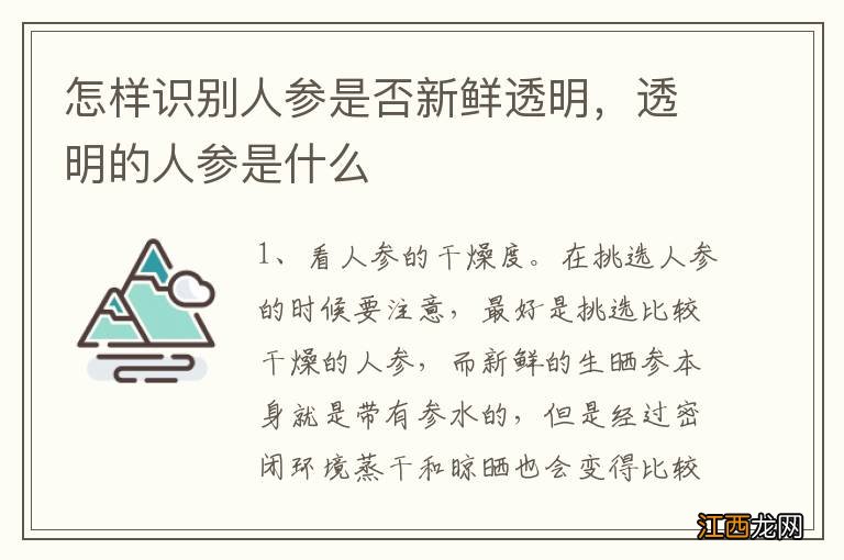 怎样识别人参是否新鲜透明，透明的人参是什么