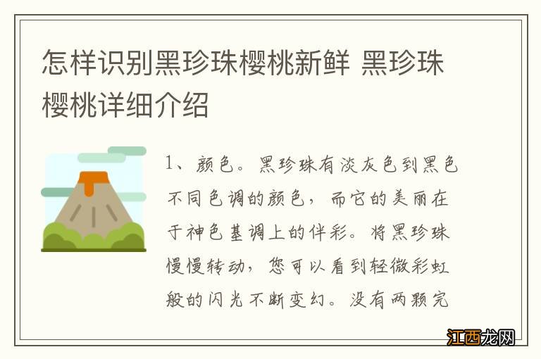 怎样识别黑珍珠樱桃新鲜 黑珍珠樱桃详细介绍