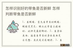 怎样识别好的带鱼是否新鲜 怎样判断带鱼是否新鲜