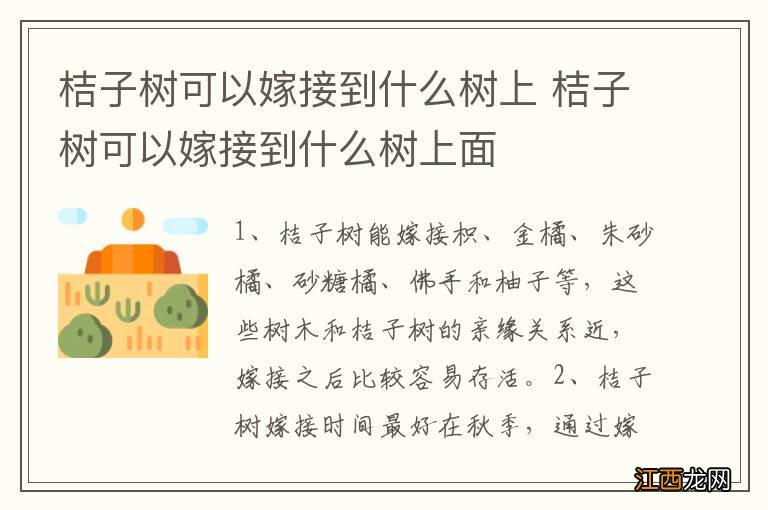 桔子树可以嫁接到什么树上 桔子树可以嫁接到什么树上面