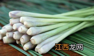 新鲜香茅保存多长时间 新鲜香茅长期保存方法