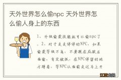 天外世界怎么偷npc 天外世界怎么偷人身上的东西