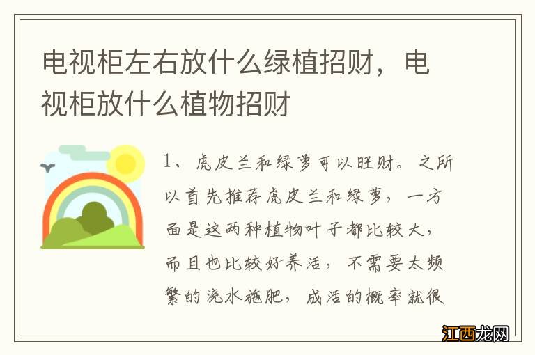 电视柜左右放什么绿植招财，电视柜放什么植物招财