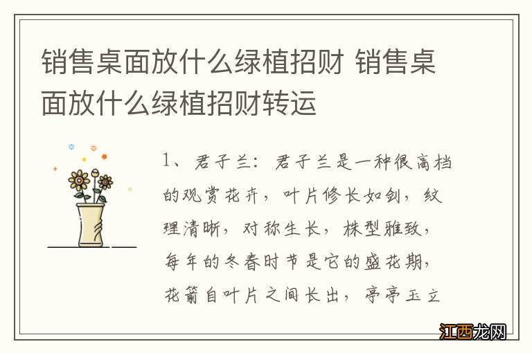 销售桌面放什么绿植招财 销售桌面放什么绿植招财转运