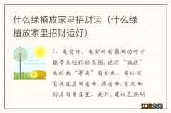 什么绿植放家里招财运好 什么绿植放家里招财运