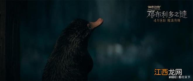 《神奇动物：邓布利多之谜》“超萌救兵”片段营救纽特大秀技能