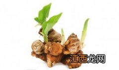 沙姜种植用什么打窝最好 沙姜种植用什么打窝