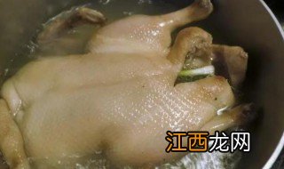生病的鸭子煮熟能吃吗，生病的鸭子煮熟能吃吗怎么做
