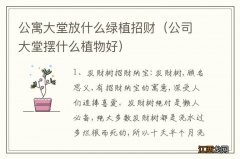 公司大堂摆什么植物好 公寓大堂放什么绿植招财