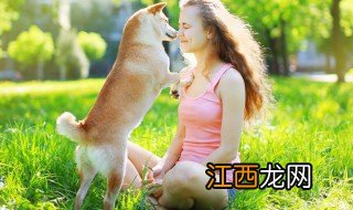 给狗狗烧纸钱有什么忌讳 中元节烧纸能带狗吗