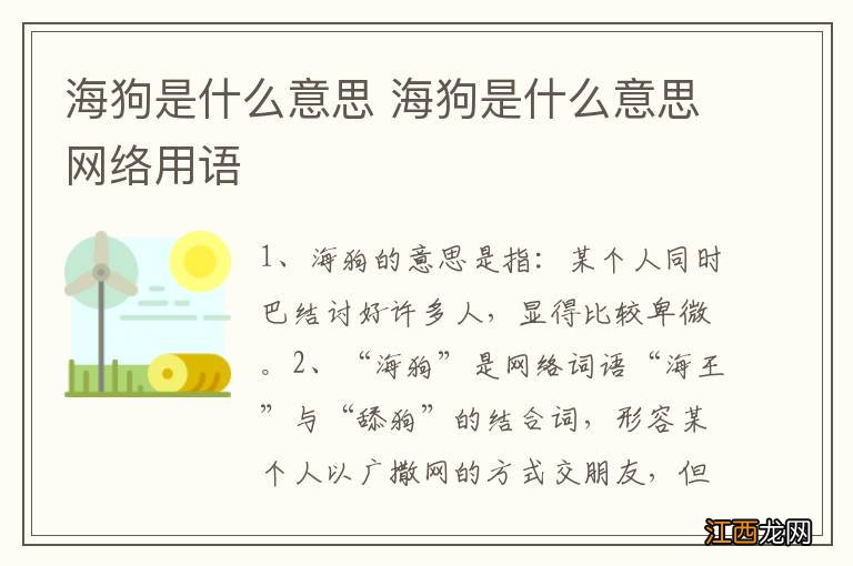 海狗是什么意思 海狗是什么意思网络用语