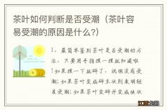 茶叶容易受潮的原因是什么? 茶叶如何判断是否受潮