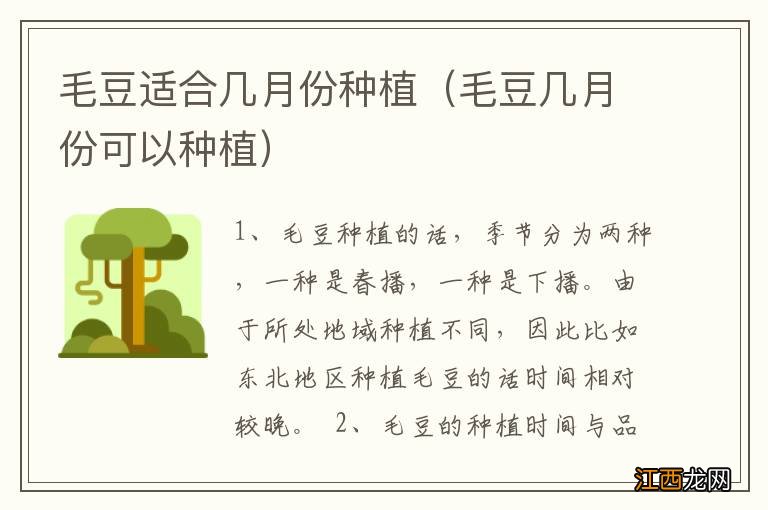 毛豆几月份可以种植 毛豆适合几月份种植