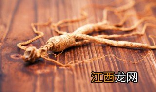 人参怎么看真假 人参怎么鉴别真假