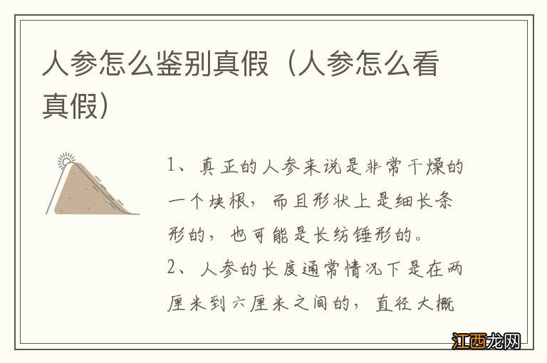 人参怎么看真假 人参怎么鉴别真假