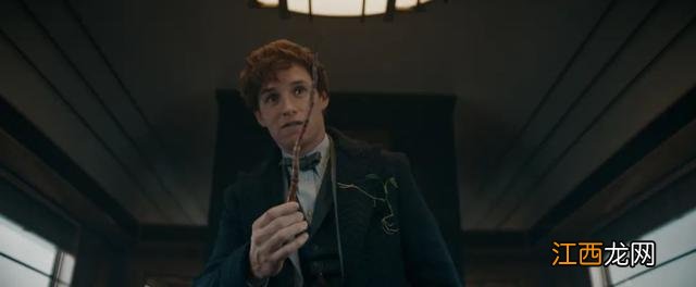 《神奇动物3》口碑惨败！透支哈利·波特圈麻瓜们的快钱