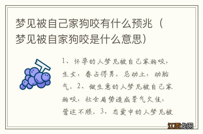 梦见被自家狗咬是什么意思 梦见被自己家狗咬有什么预兆