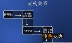 程序交易评测系统的使用方法