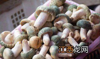 鲜菌子怎样长时间保鲜 新鲜菌子长期保存的方法介绍