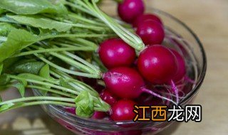 红萝卜什么时候种植 红萝卜什么时候种植最好