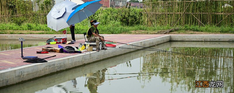 马口鱼养殖一亩产量 马口鱼养殖一亩产量多少斤