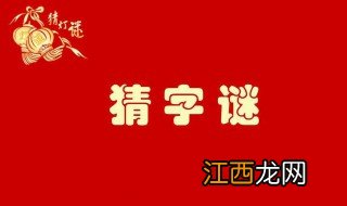 泡的字谜包 泡的字谜