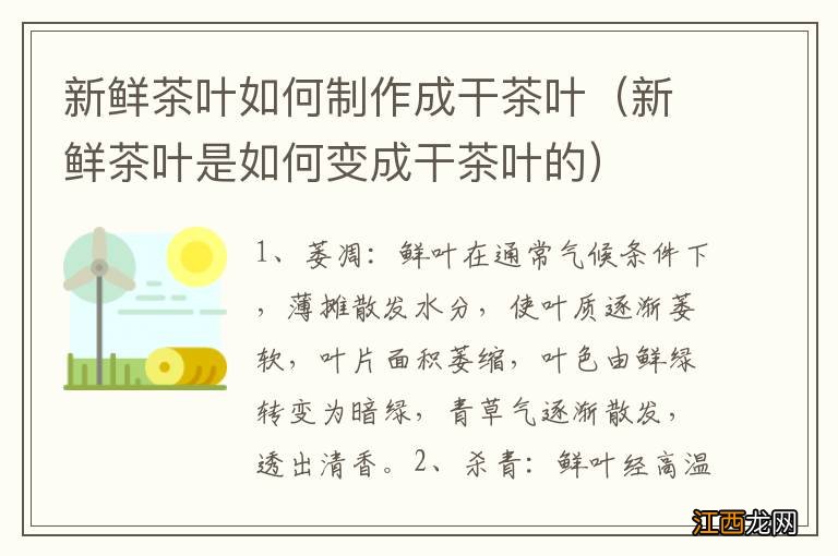 新鲜茶叶是如何变成干茶叶的 新鲜茶叶如何制作成干茶叶