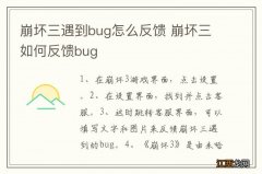 崩坏三遇到bug怎么反馈 崩坏三如何反馈bug